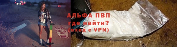 ГАЛЛЮЦИНОГЕННЫЕ ГРИБЫ Балабаново